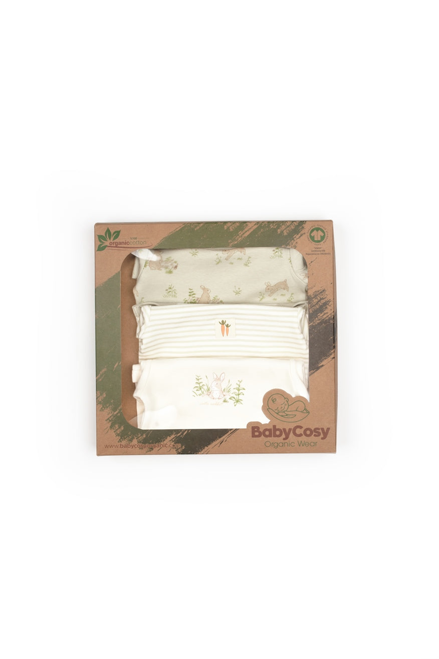 3 PCS Short Sleeve Body - 100% Organic Cotton