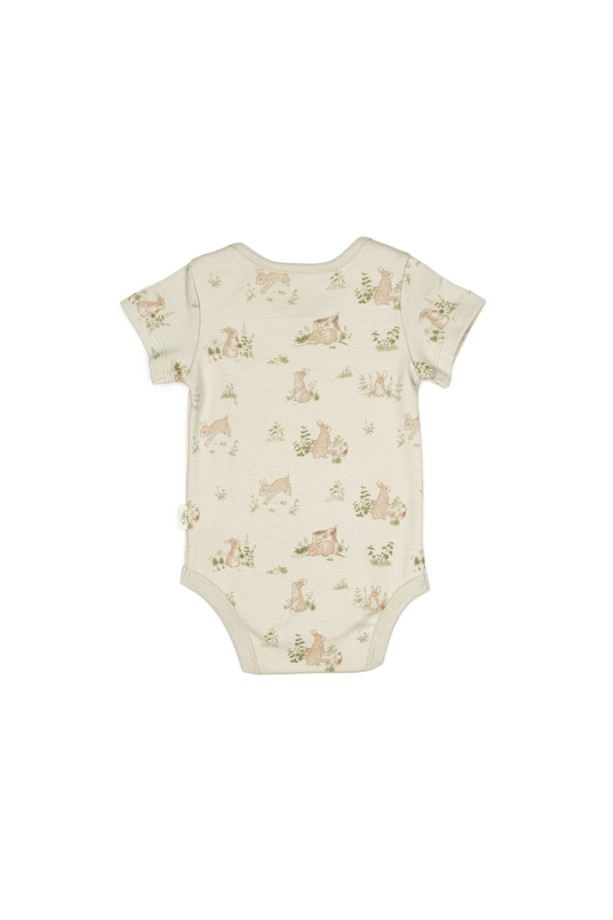 3 PCS Short Sleeve Body - 100% Organic Cotton