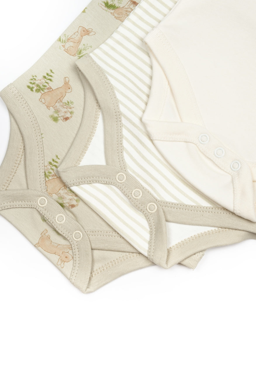 3 PCS Short Sleeve Body - 100% Organic Cotton