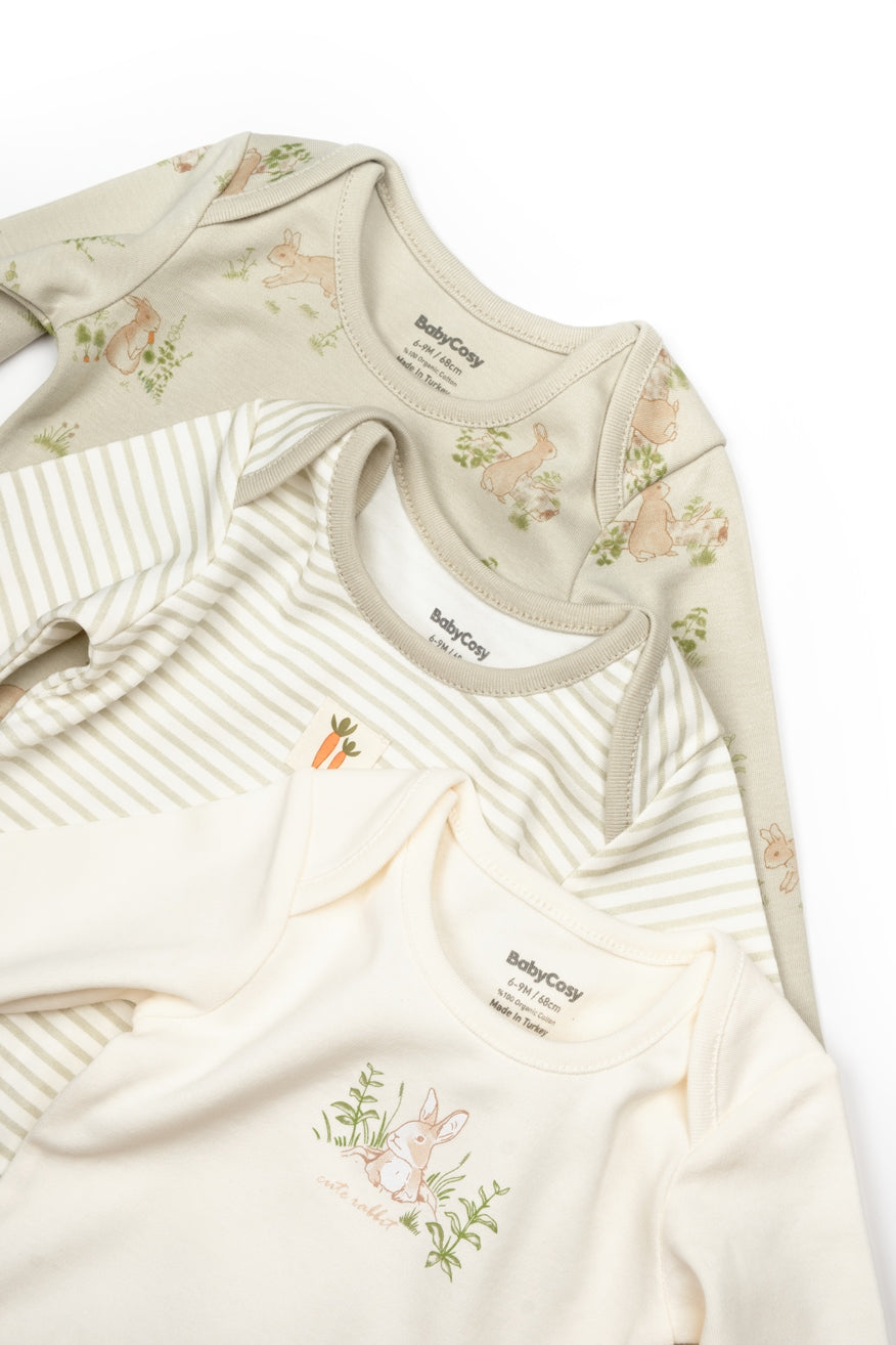 3 PCS Long Sleeve Body Bunny - 100% Organic Cotton - 9-24M