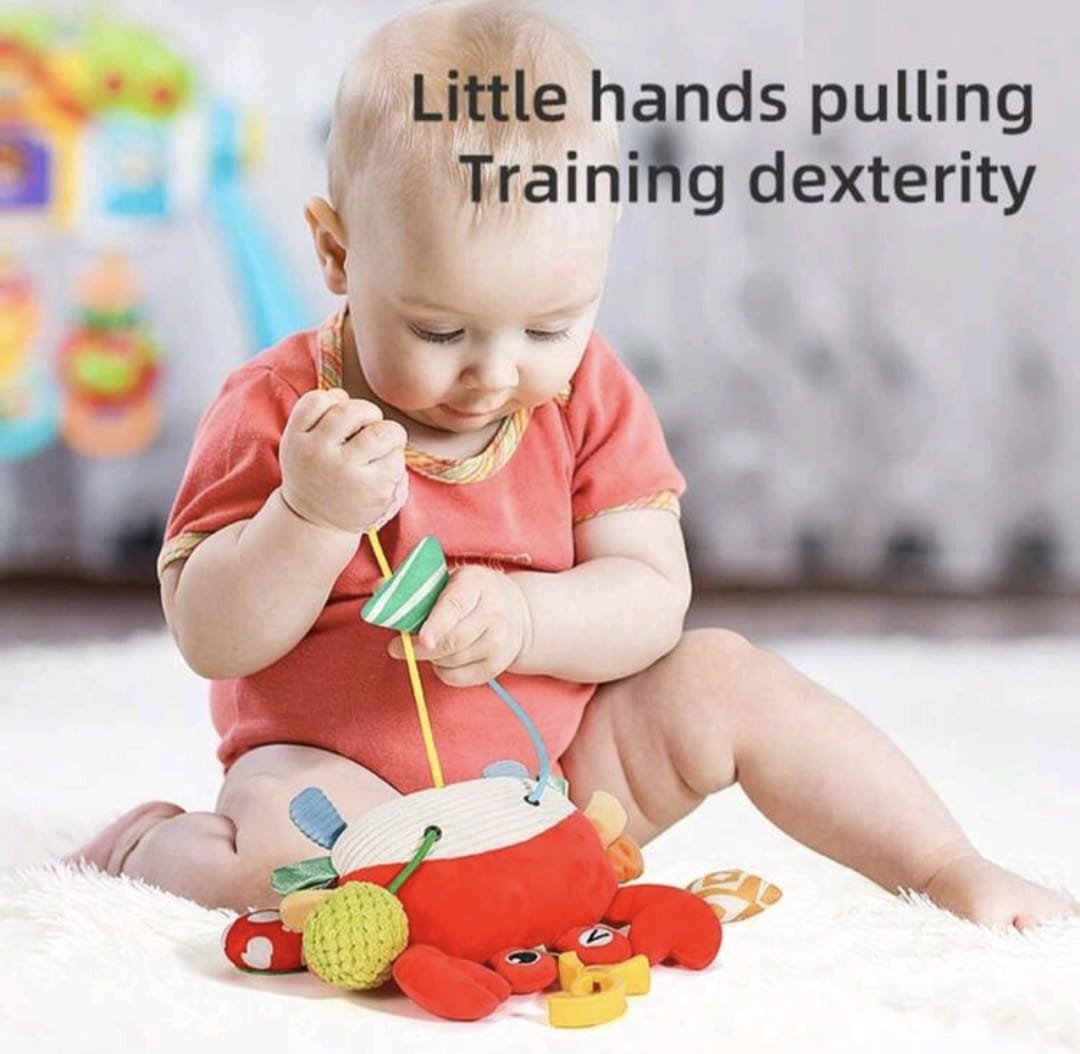 Crab Hanging Toy