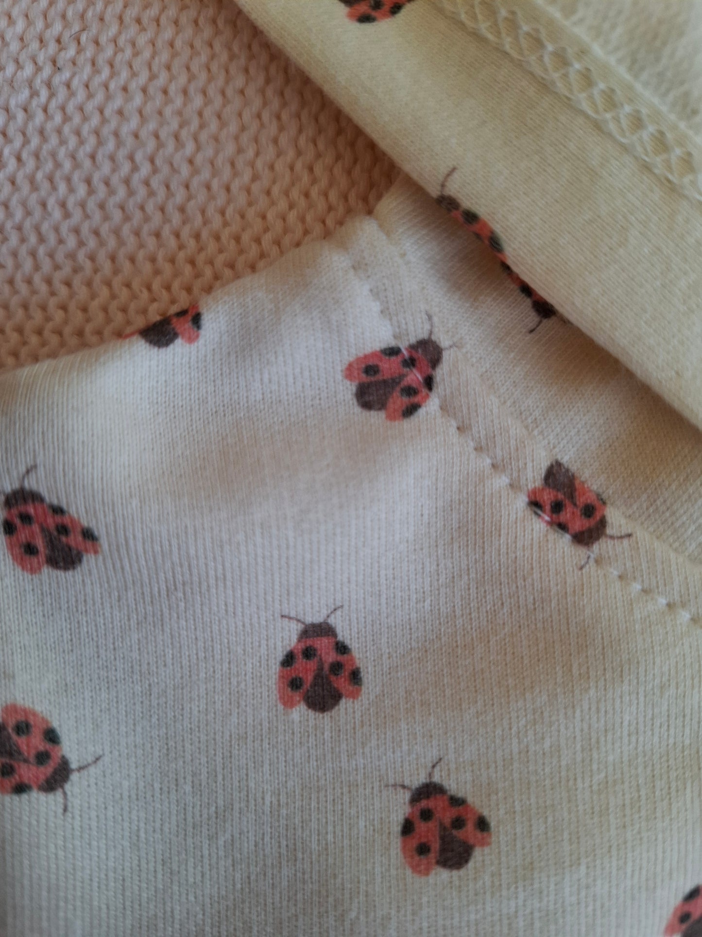 Set Ladybird/Floral - 3-24M