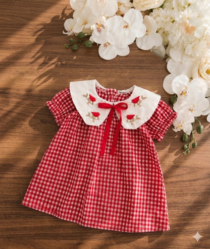 Tweetheart Checkered Dress - Blue/Red/Pink - 3-18M