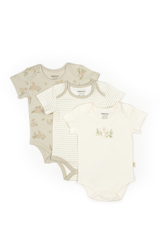 3 PCS Short Sleeve Body - 100% Organic Cotton