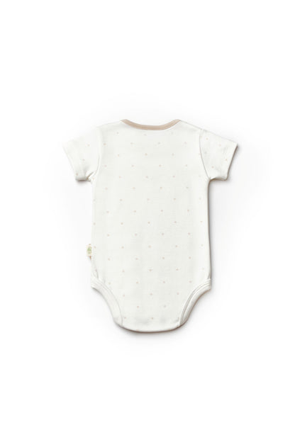 3 PCS Short Sleeve Body Bear - 100% Organic Cotton - 9-24M