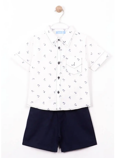 Shorts & Palm Tree Pattern Shirt Set - 2-7Y