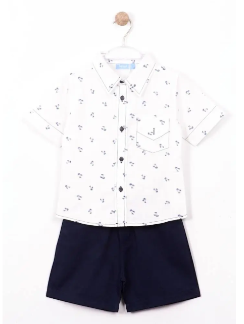 Shorts & Palm Tree Pattern Shirt Set - 2-7Y