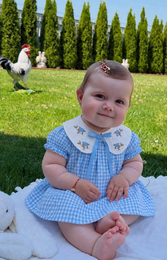 Tweetheart Checkered Dress - Blue/Red/Pink - 3-18M