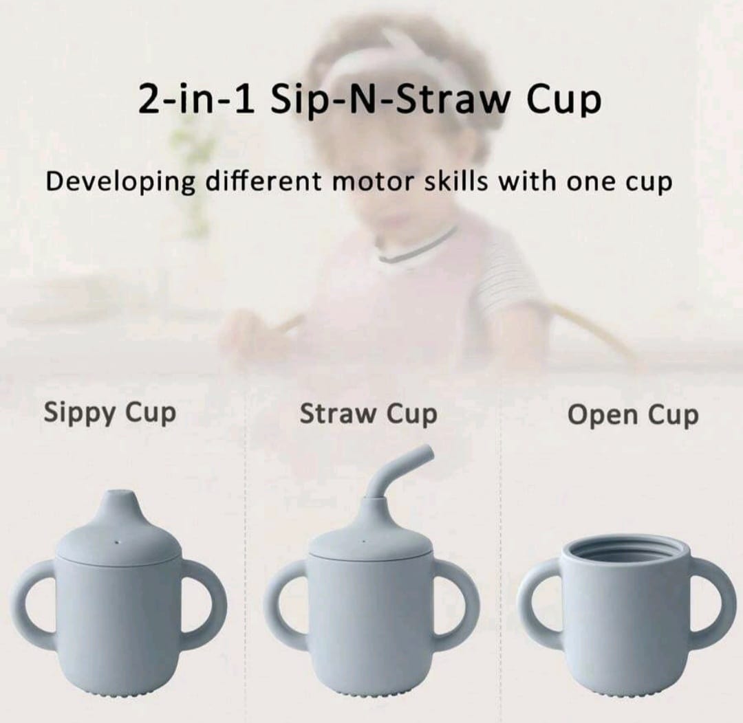 2 in 1 Sip-N- Straw Cup