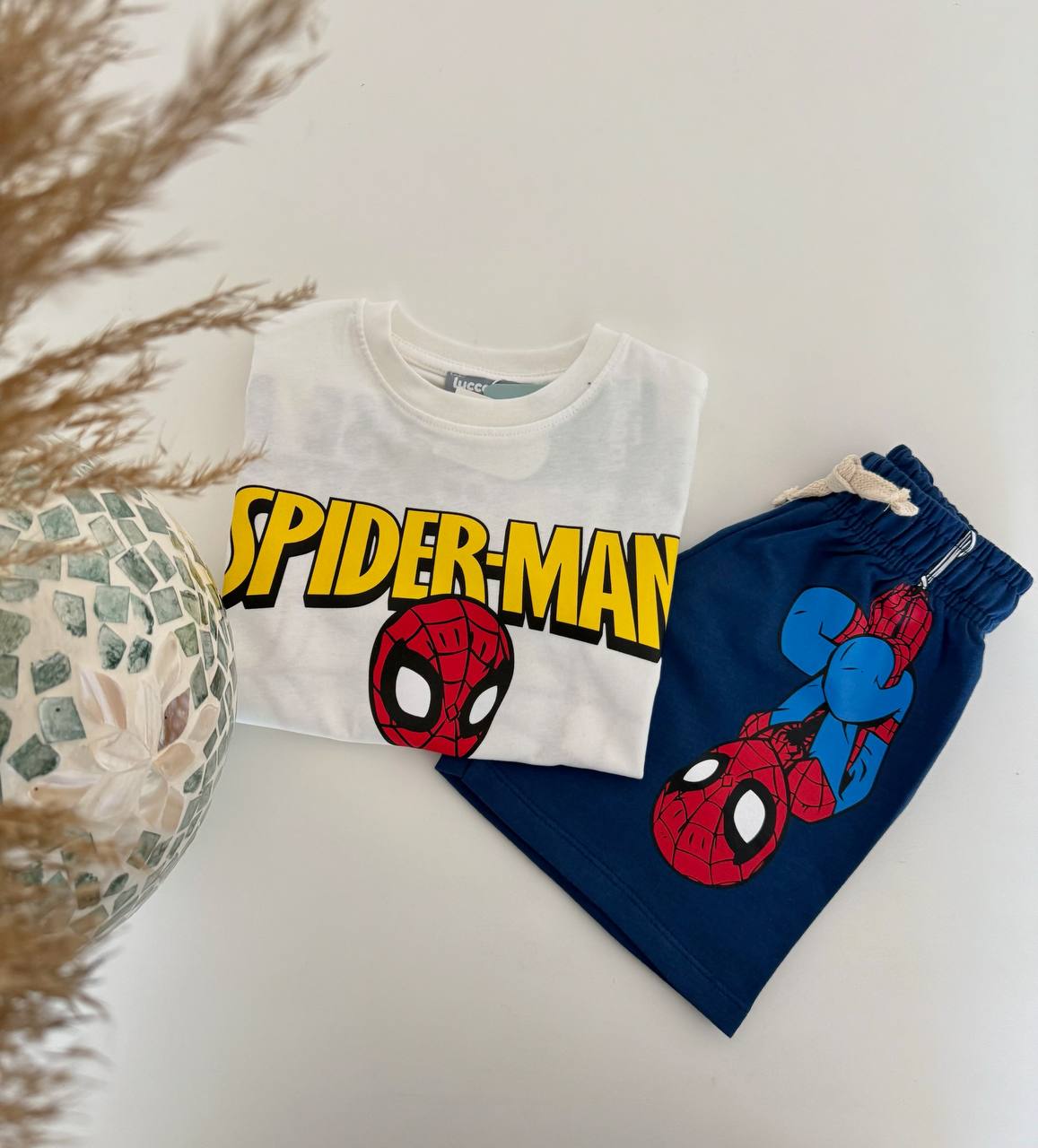 Spider man Short & Tshirt Set - 2-8Y