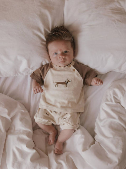 Shorts & Tshirt Set - DOG - 6M-3Y