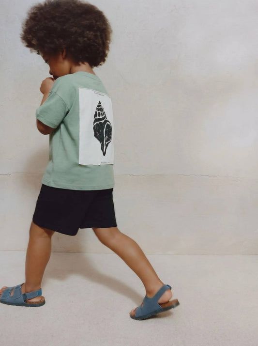 Seashells Shorts & Tshirt Set - Green - 2-7Y