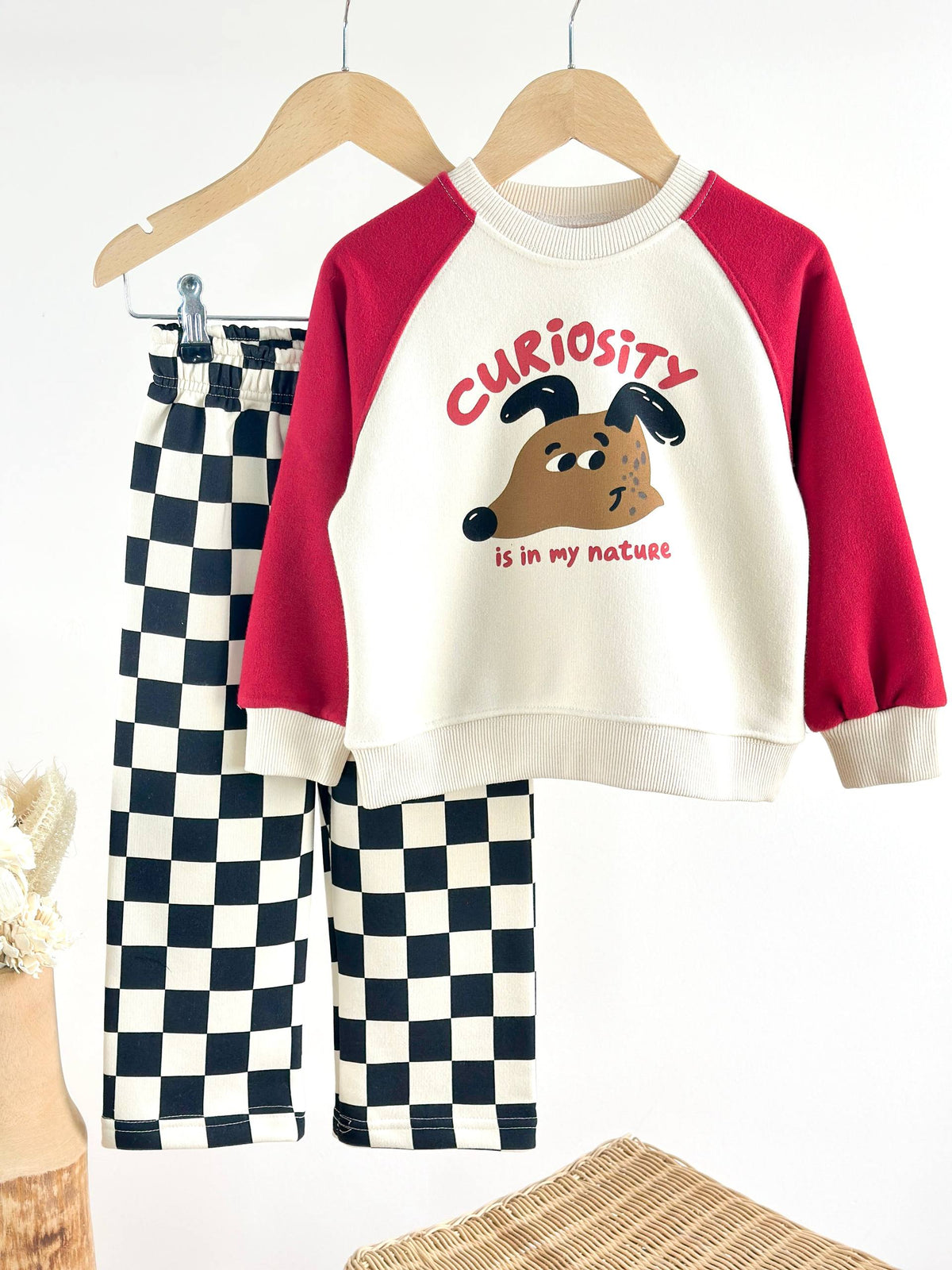Curiosity Dog Set - 2-8Y