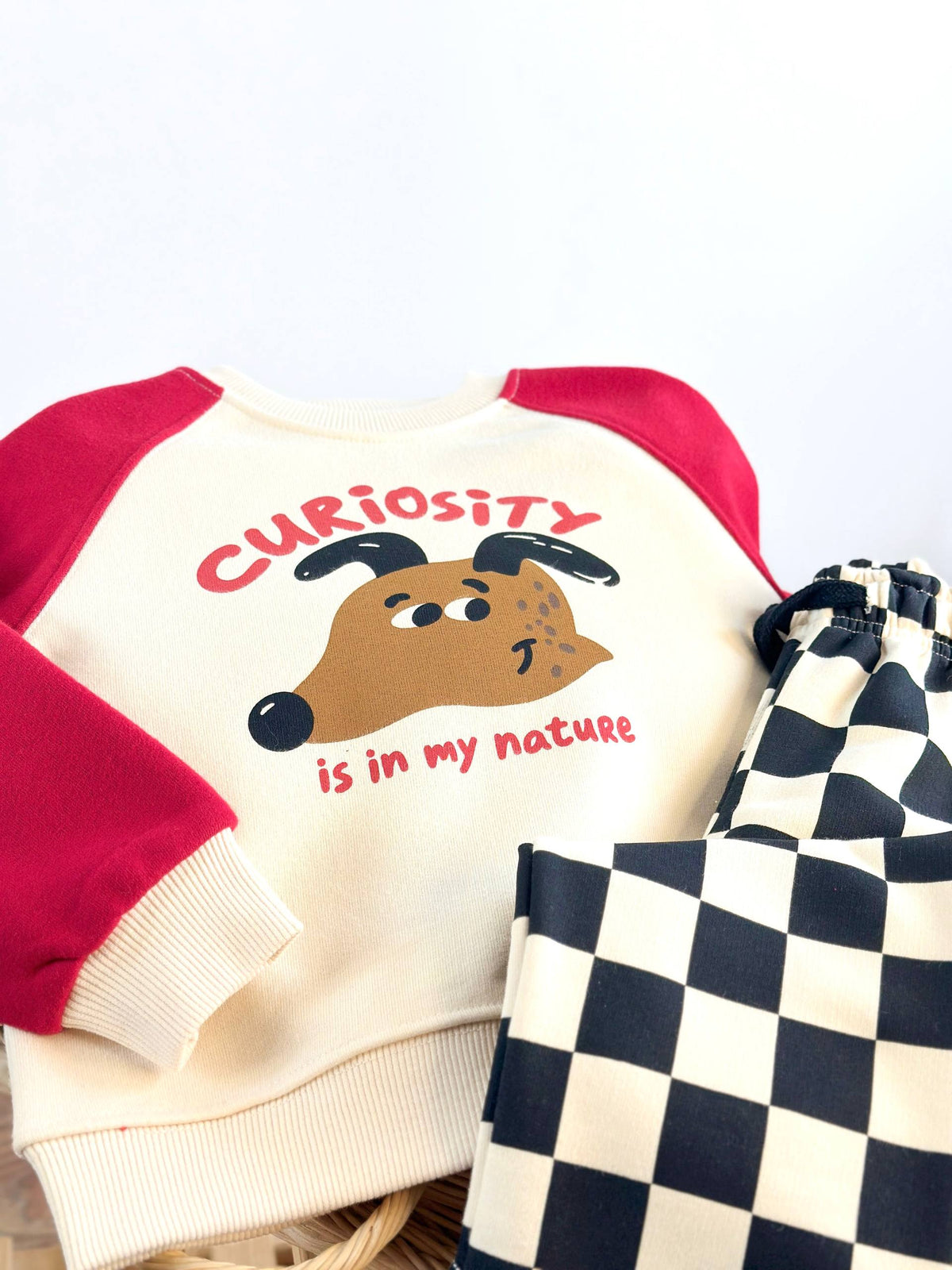Curiosity Dog Set - 2-8Y