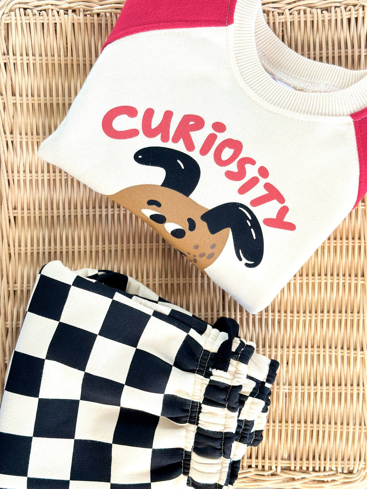 Curiosity Dog Set - 2-8Y