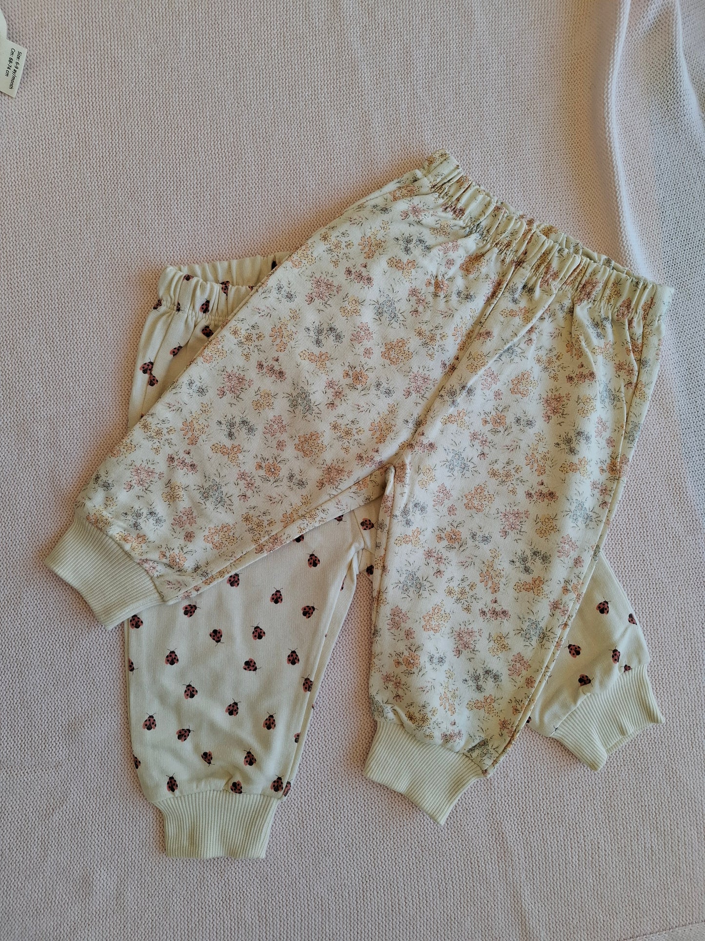 Set Ladybird/Floral - 3-24M
