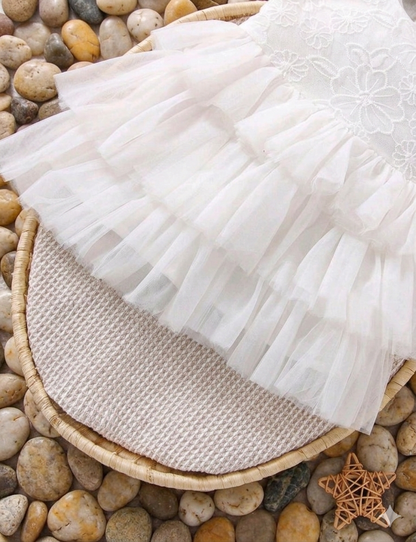 Lace layer Dress 6-18M