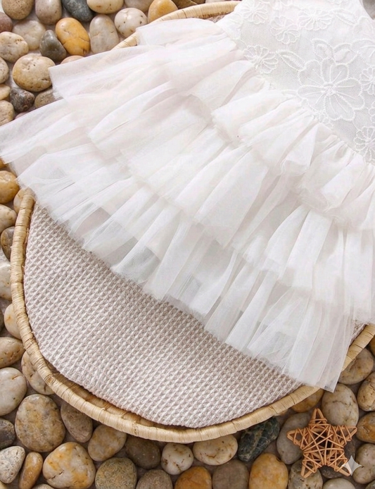 Lace layer Dress 6-18M